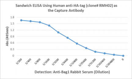 RMH02 ELISA capture Human HA tag