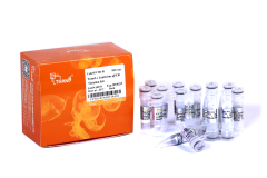 TransLv Lentivirus qPCR Titration Kit