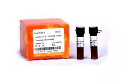 FC301 - TransDetect® Cell LIVE/DEAD Viability/Cytotoxicity Detection Kit