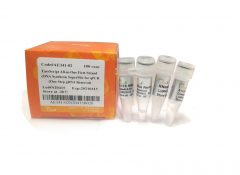 AE341 - EasyScript® All-in-One First-Strand cDNA Synthesis SuperMix for qPCR (One-Step gDNA Removal)