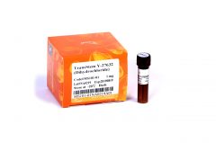 MS101 - TransSmall™ Y-27632 (Dihydrochloride)