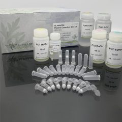 APPDE Alphagen Plasmid mini kit