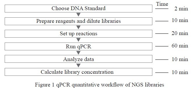 KQ101 - Procedure for NGS Library Quantification