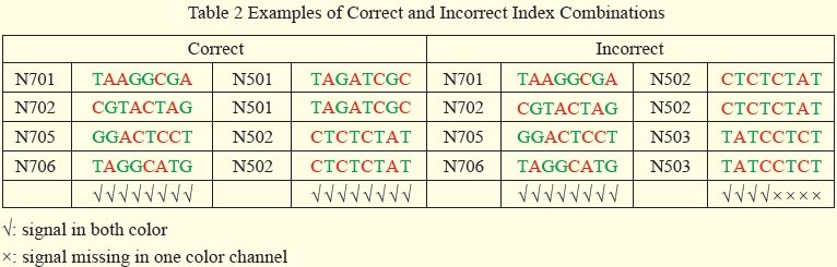 Table 2 Examples of Correct and Incorrect Index Combinations