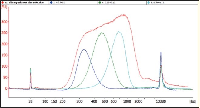 Tn5 DNA Library with or without DNA Size Selection