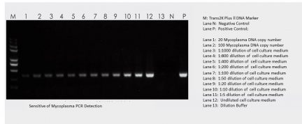 TransDetect Mycoplasma Detection PCR Kit sensitivity